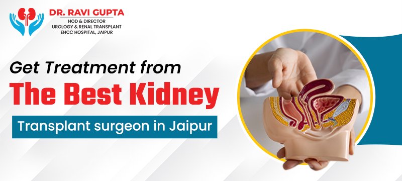 Get Treatment from the Best Kidney Transplant surgeon in Jaipur