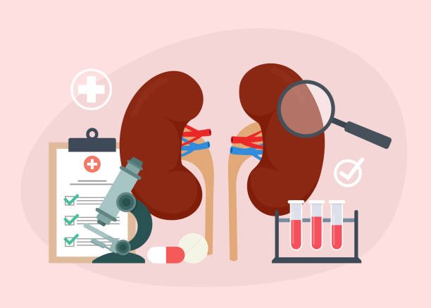 Get Treatment from the Best Kidney Transplant surgeon in Jaipur
