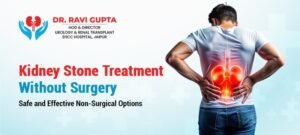 Kidney Stone Treatment Without Surgery Expert Care